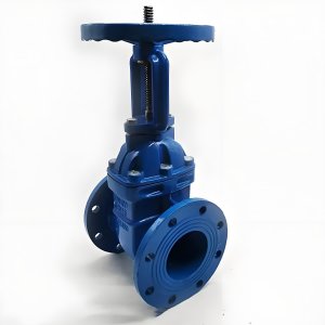 手動(dòng)閘閥Z41T-16 DN50/DN65廠家直銷(xiāo)，上海發(fā)